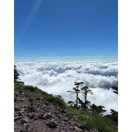 仁藤流ブログ2025年2月3日: 「立春に運気を呼び込む！歴史と陰陽五行に学ぶ乙巳年の行動指針」　掛川　磐田　袋井　菊川　高性能　注文住宅　新築　平屋