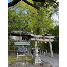 家づくりは「幸せの種まき」：建築祭式で家族の未来を祈りましょう